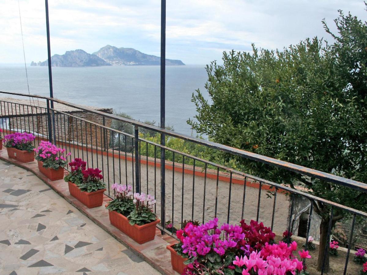 Apartment Don Luigino - Capri View By Interhome Масса-Лубренсе Экстерьер фото