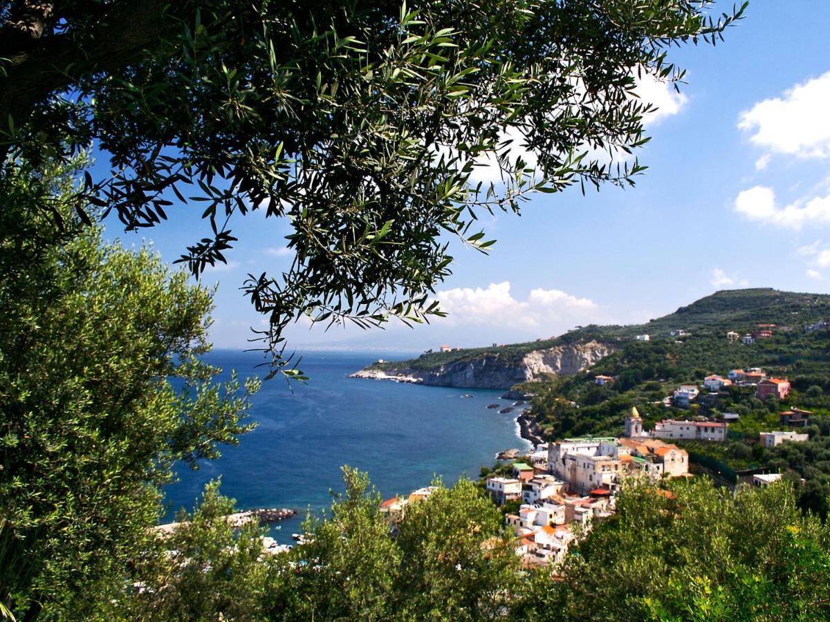 Apartment Don Luigino - Capri View By Interhome Масса-Лубренсе Экстерьер фото